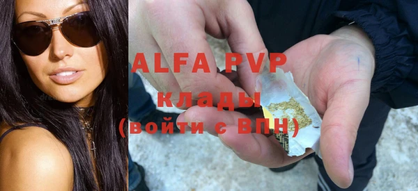 крисы Белокуриха