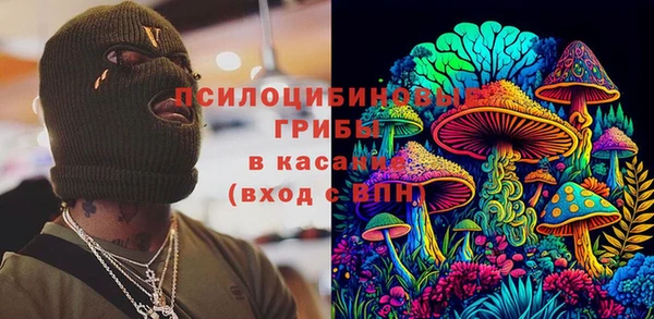 крисы Белокуриха