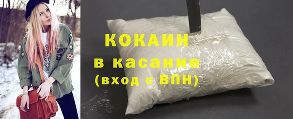 крисы Белокуриха