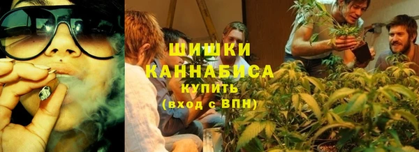 крисы Белокуриха