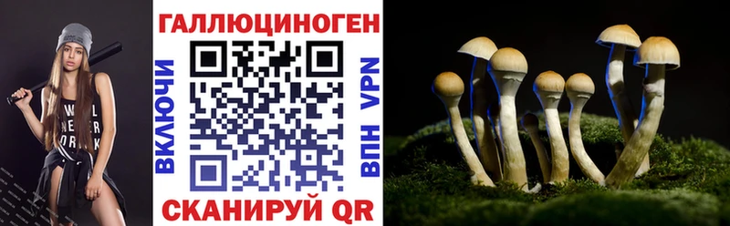 даркнет сайт  Большой Камень  Псилоцибиновые грибы Psilocybe 